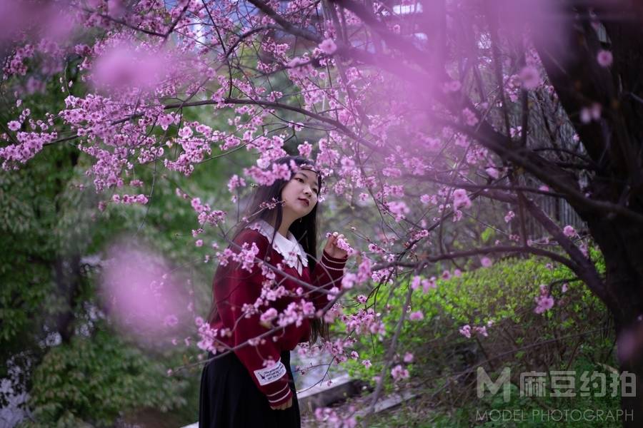 清新模特