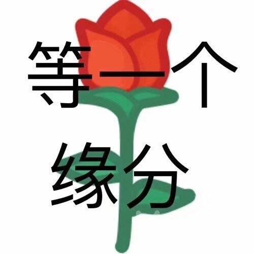 宝丽来模特