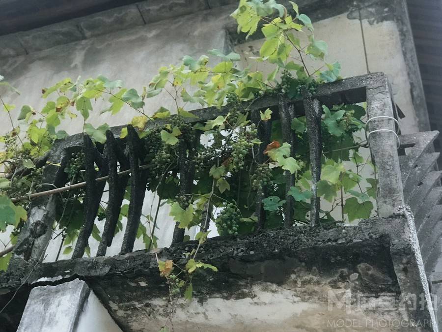 纪实模特
