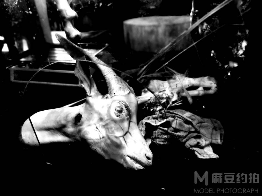 黑白模特