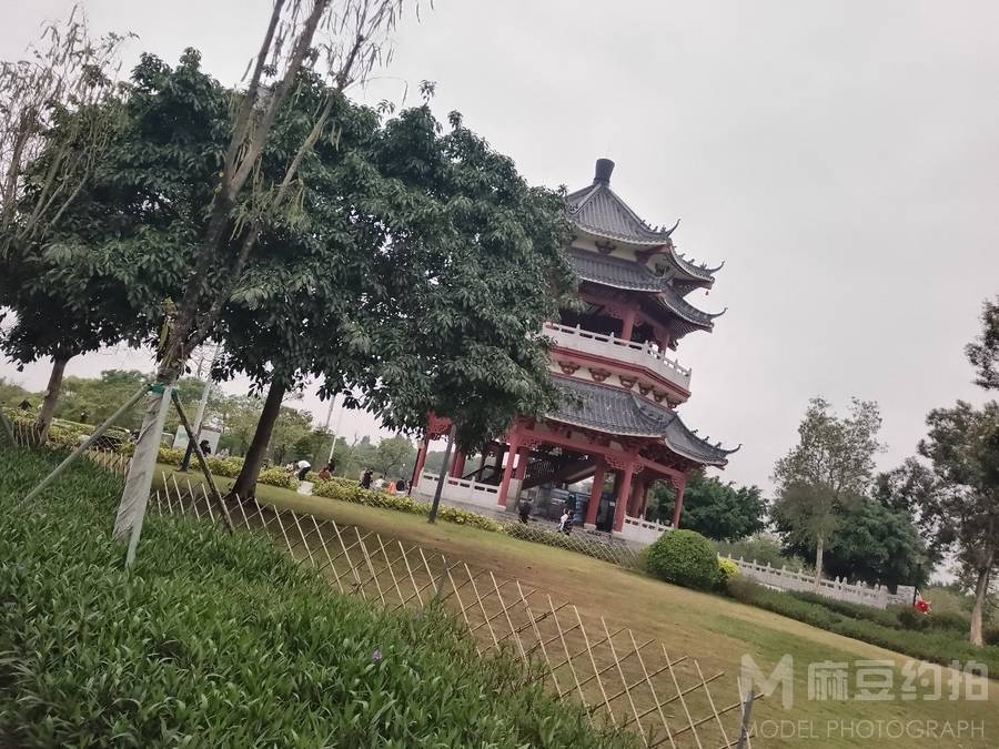 清新模特