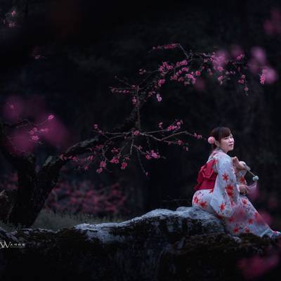 和服模特