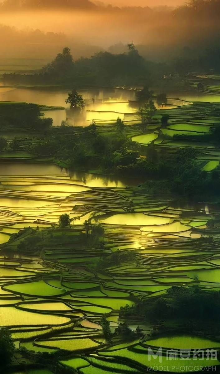 纪实模特