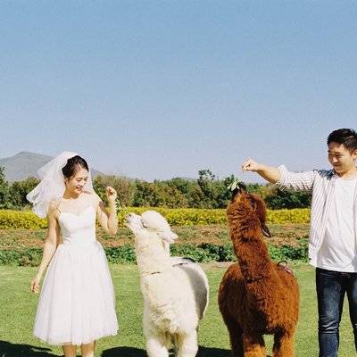 情侣模特