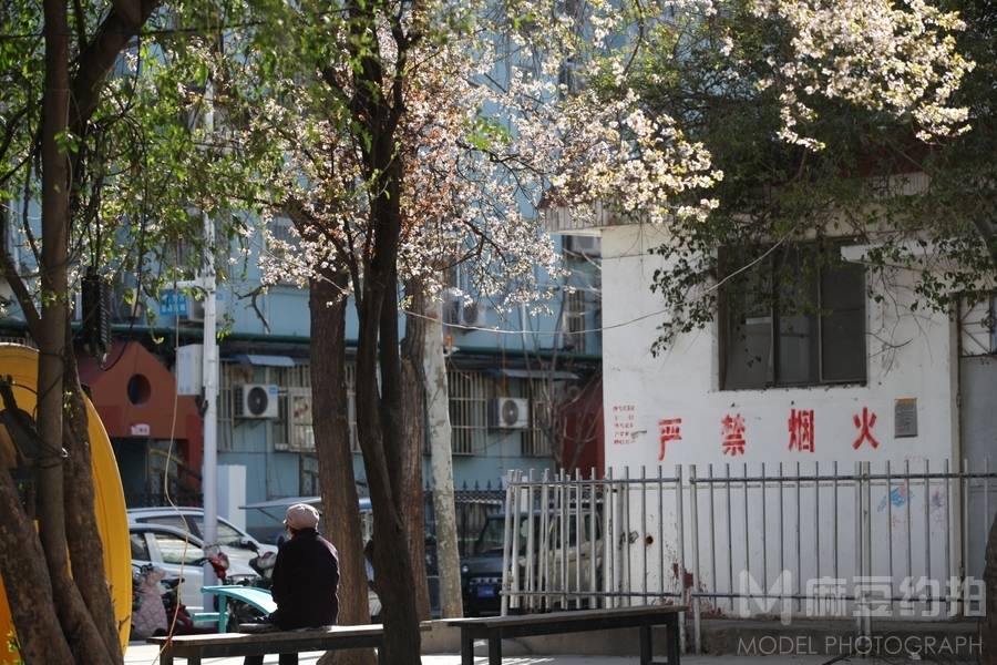 纪实模特