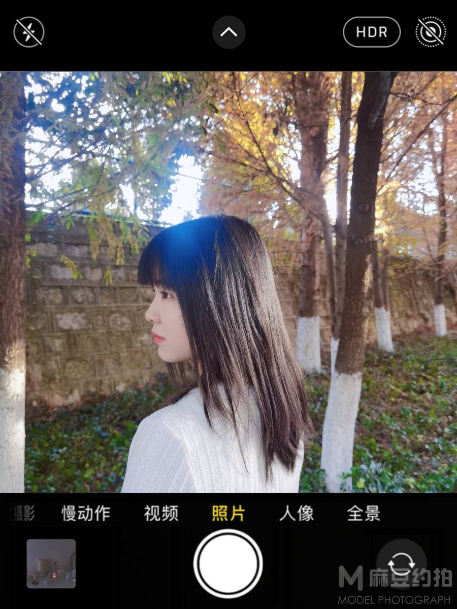 清新模特