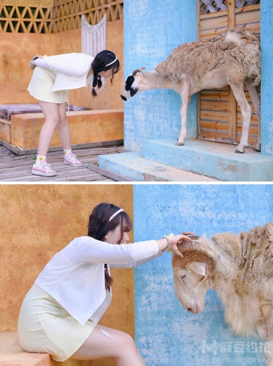 胶片模特
