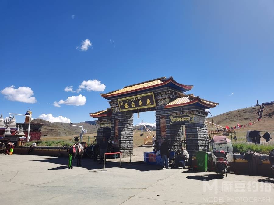 纪实模特