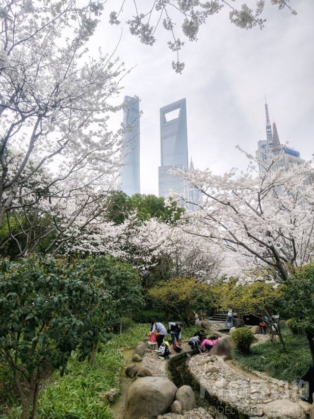 日系模特