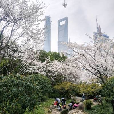 日系模特