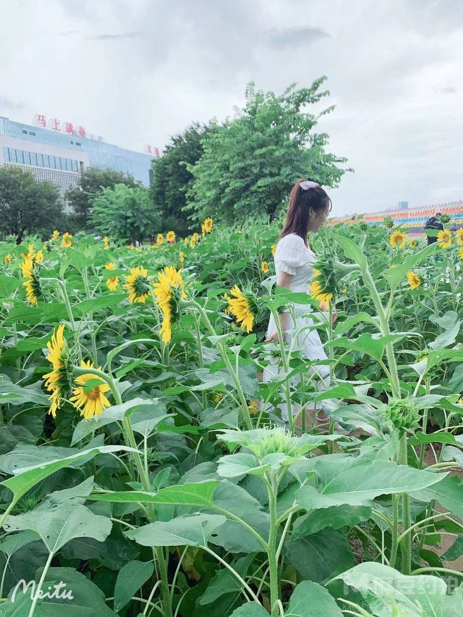 校园模特