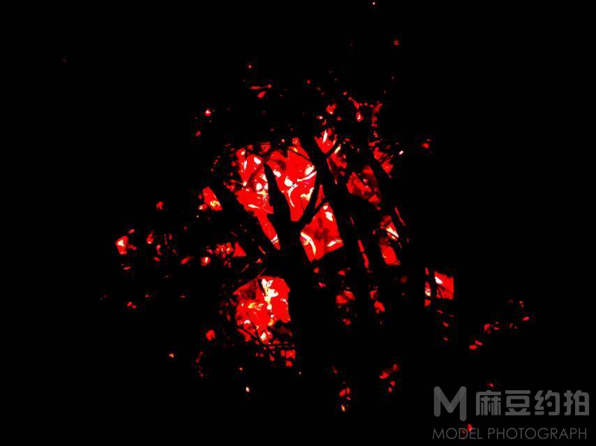 暗黑模特