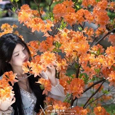复古模特