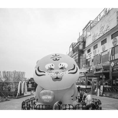 纪实模特