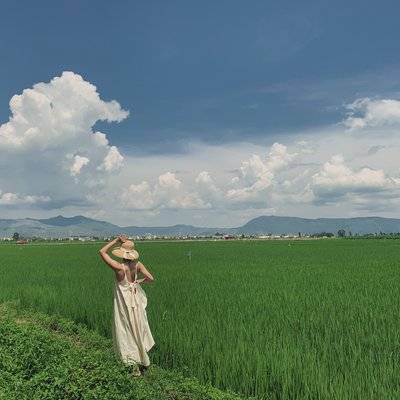 胶片模特