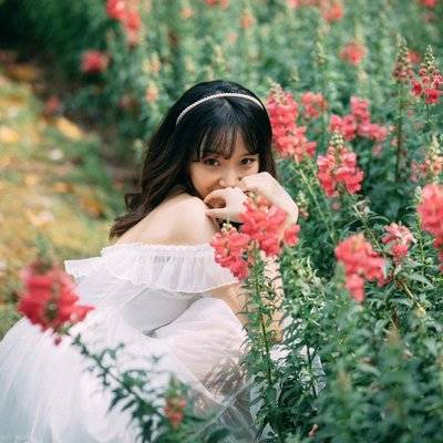 清新模特