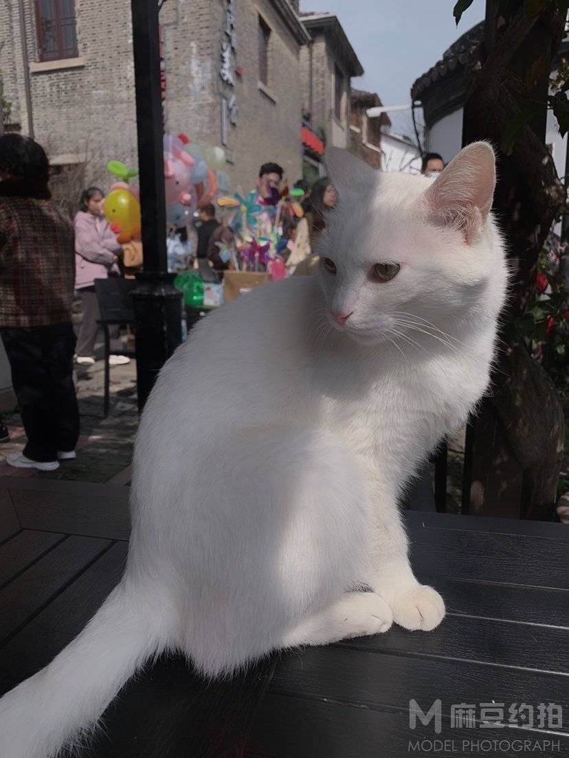 纪实模特