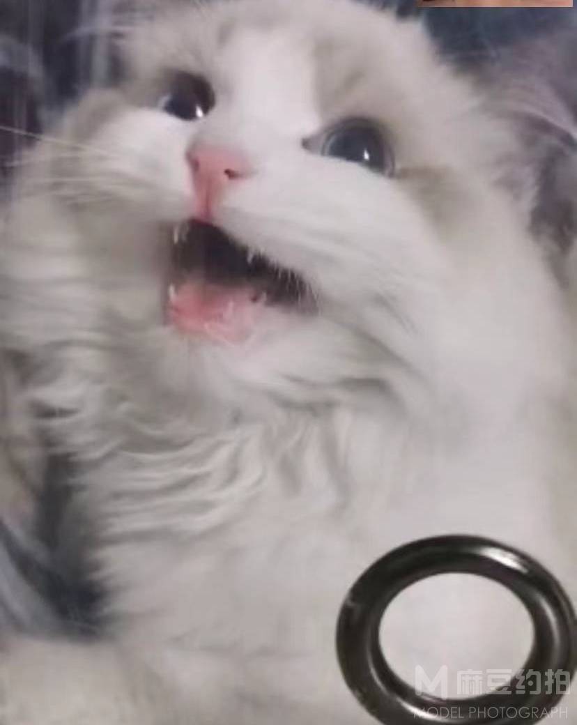 孕照模特