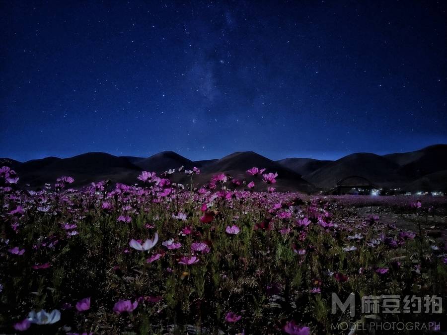 纪实模特