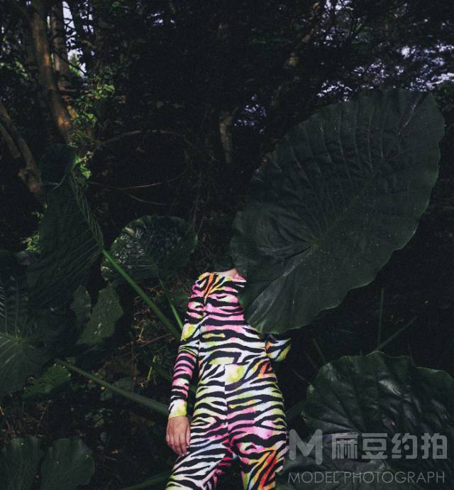 复古模特