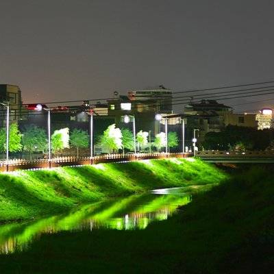 夜景模特