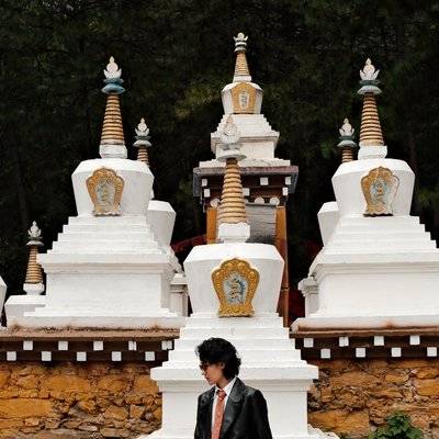 胶片模特