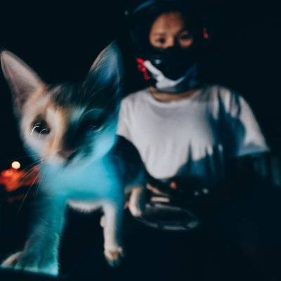 胶片模特