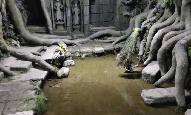 罗马风情婚纱摄影