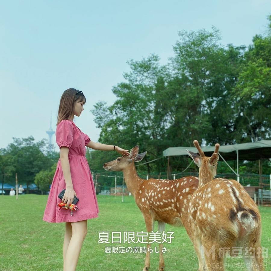 韩系模特