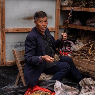 纪实模特