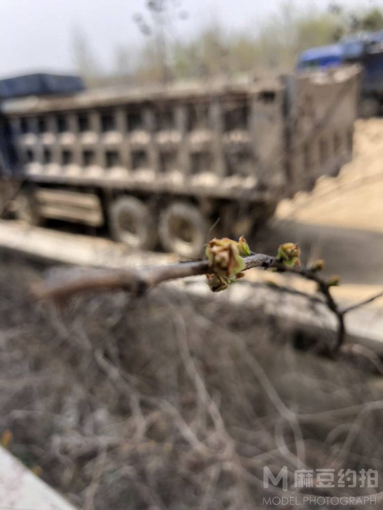 纪实模特