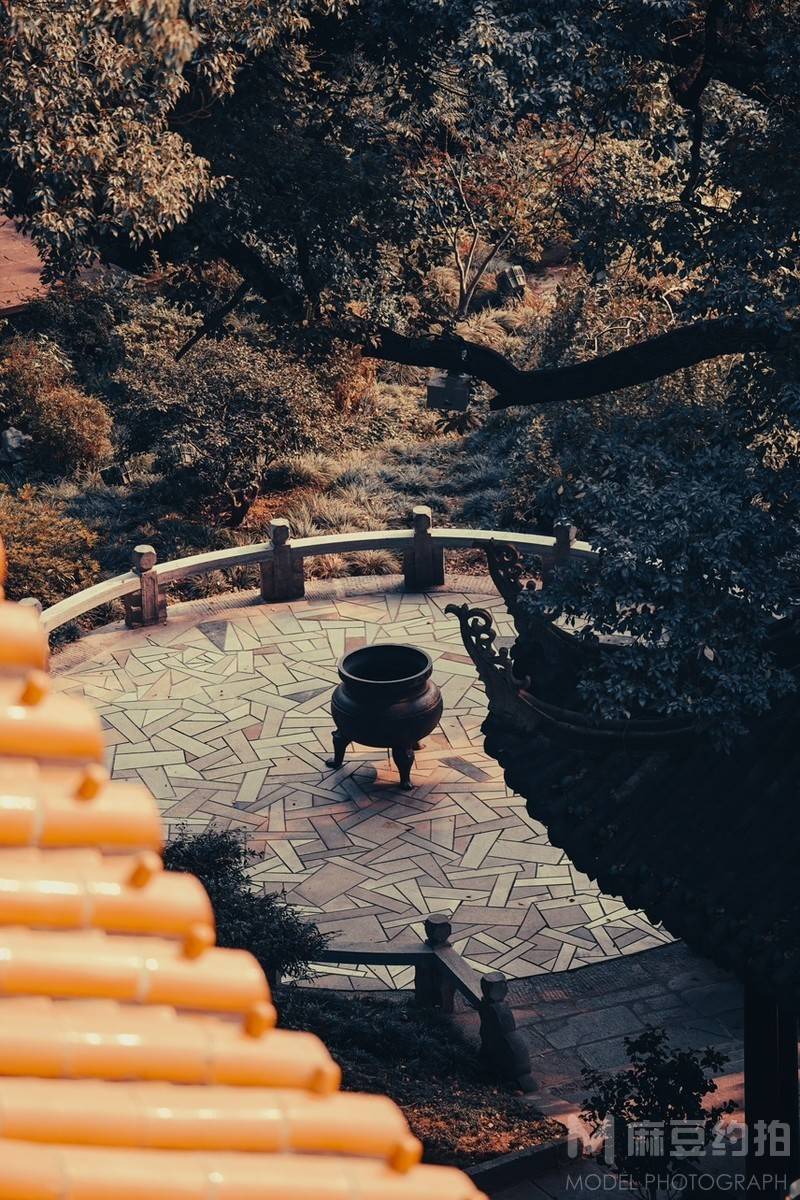 胶片模特