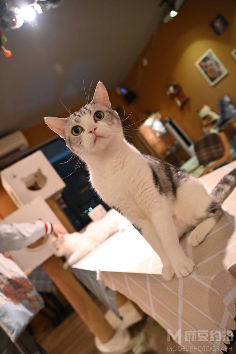 纪实模特