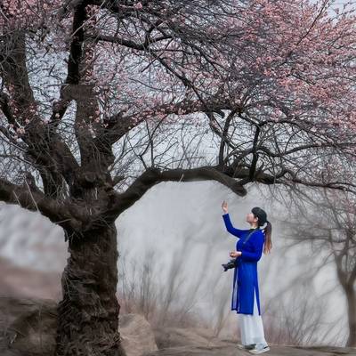 韩系模特