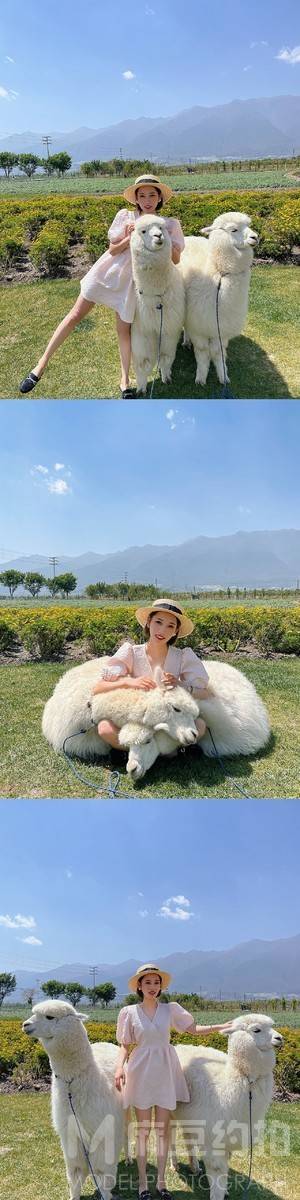 淘宝模特