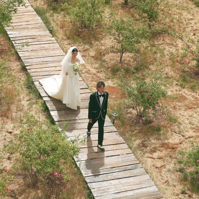 婚礼模特
