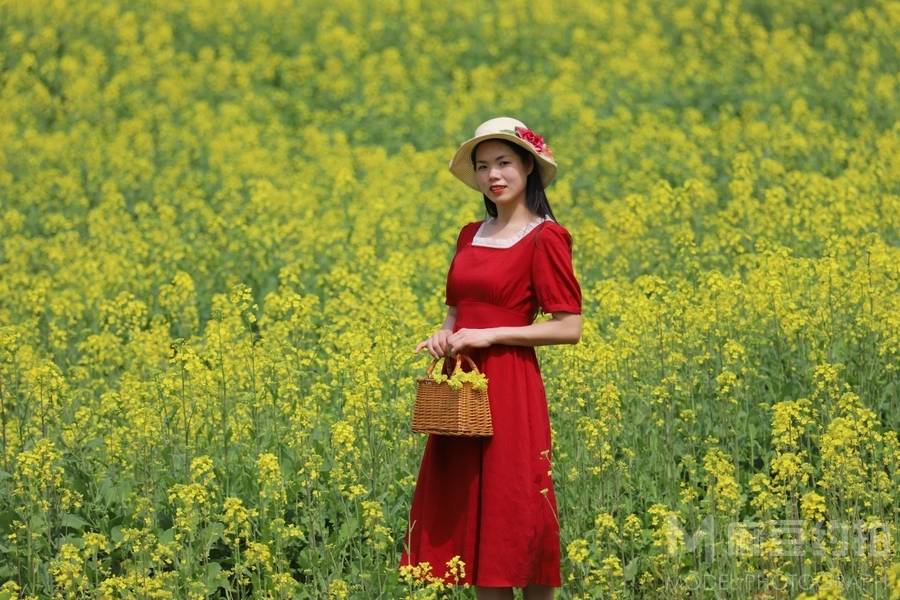 清新模特