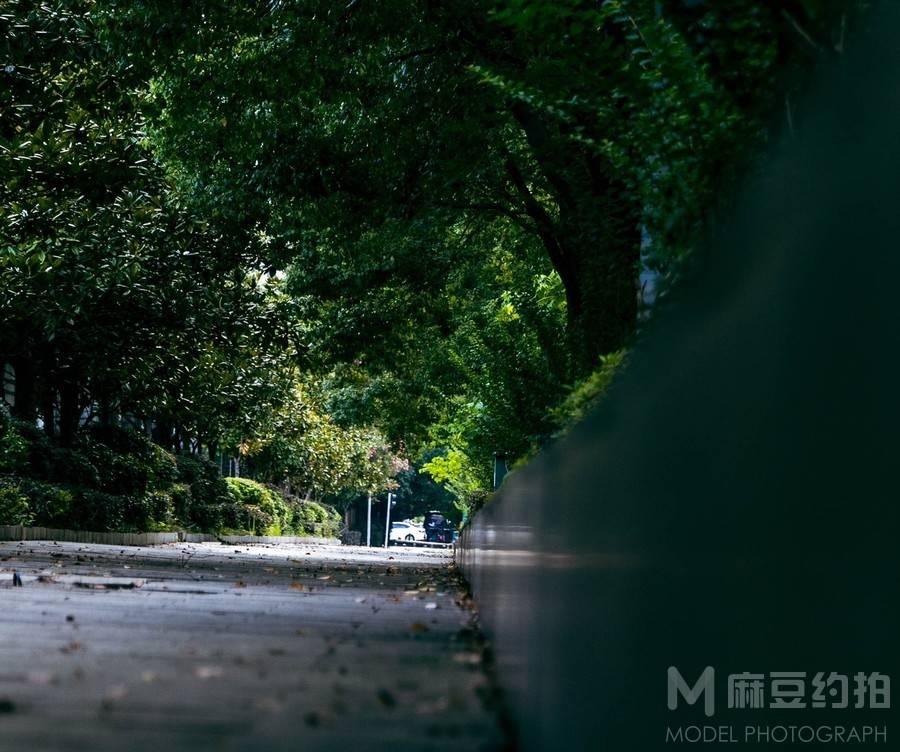 纪实模特
