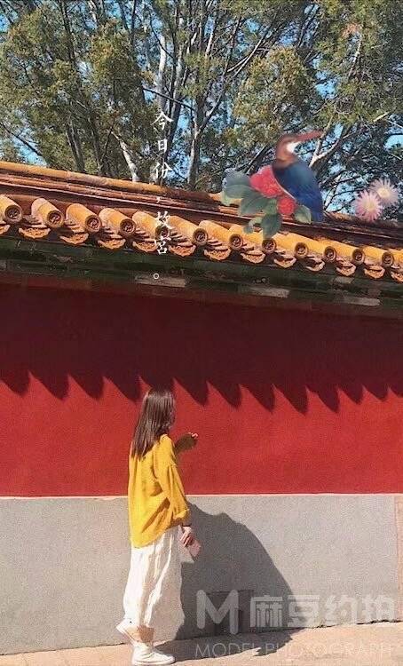 情侣模特