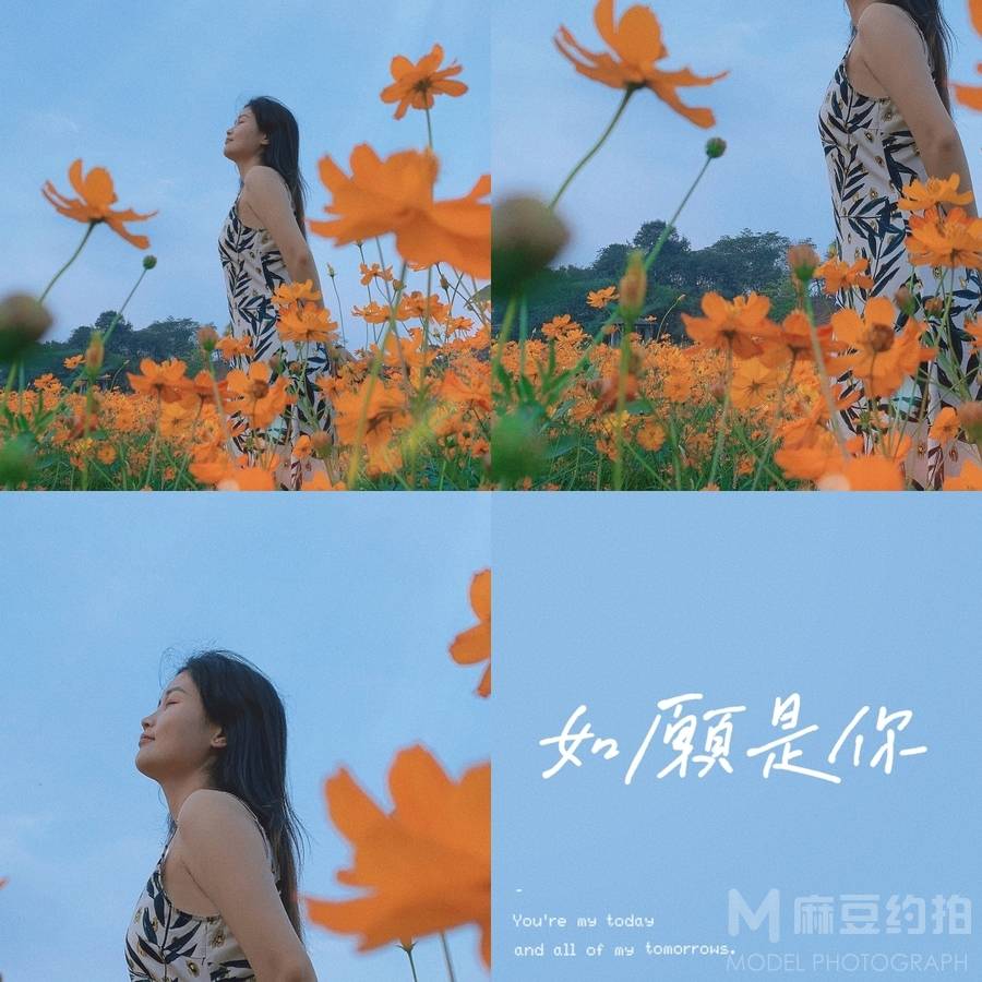 清新模特