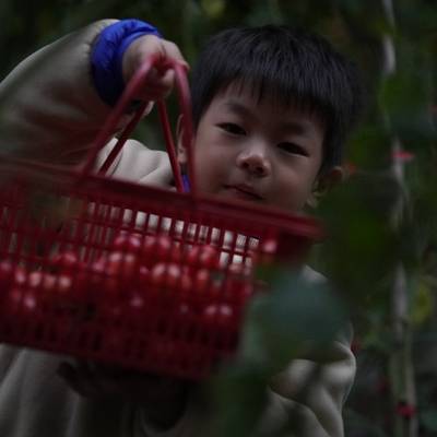 儿童摄影模特