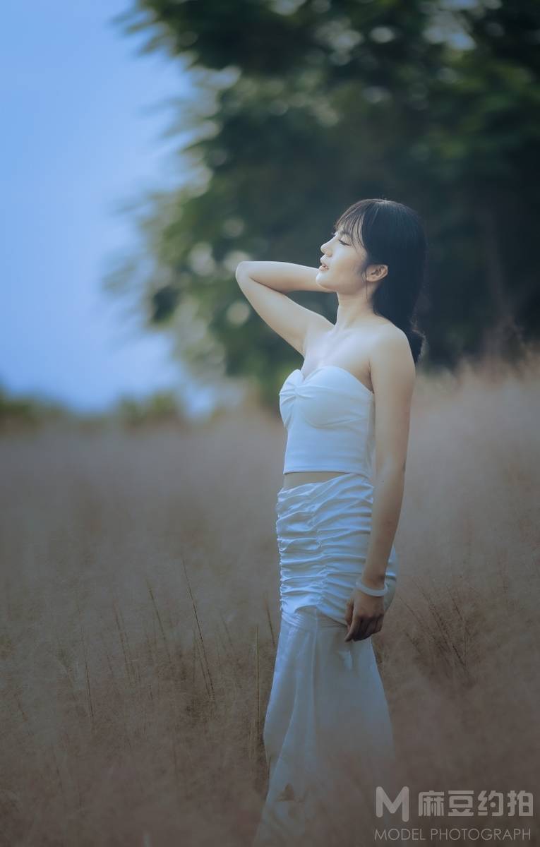 胶片模特