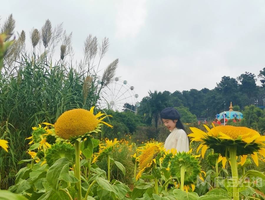 纪实模特