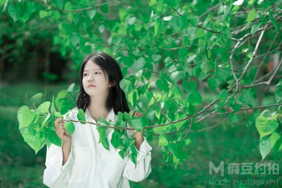 清新模特