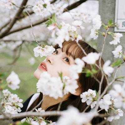 胶片模特