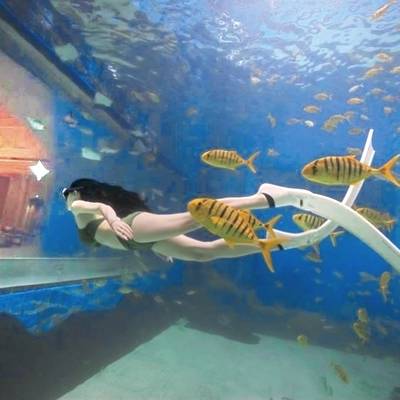 纪实模特