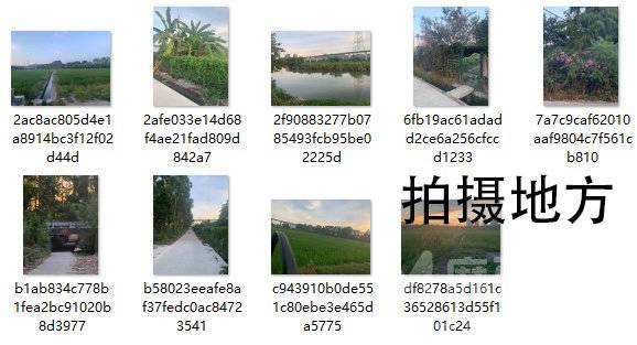 复古模特