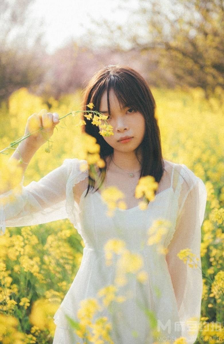 清新模特