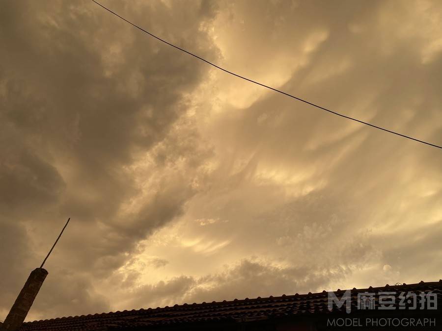 胶片模特