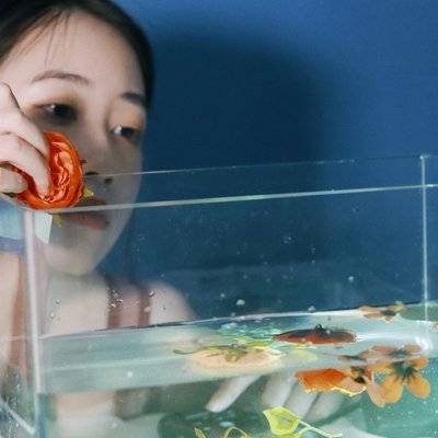 情绪模特